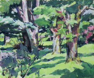 Trees at Auchinleck, Ayrshire