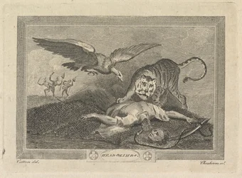 Head and Limbs