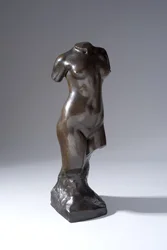 Torso