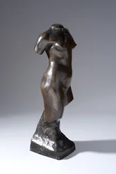 Torso