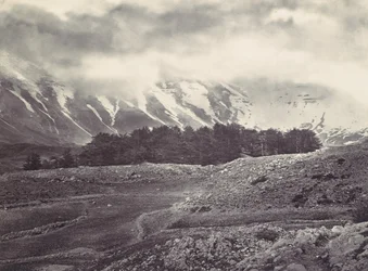Distant View of the Cedars of Lebanon, ca. 1857