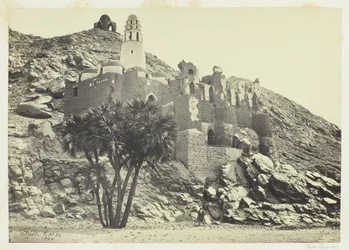 Doum Palm and Ruined Mosque, Philae