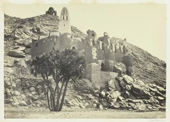 Doum Palm and Ruined Mosque, Philæ