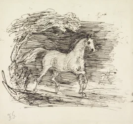 A Grey Horse trotting out of a Wood