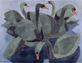 Black Swans on a Blue Background