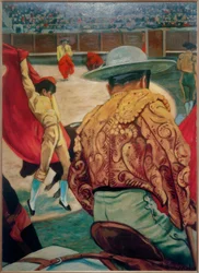 Matador in the Arena