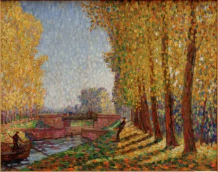 Morning Sun in Autumn