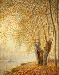 The Willow Trees: Autumn Sun Effect