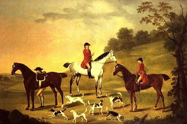 Unknown Image
