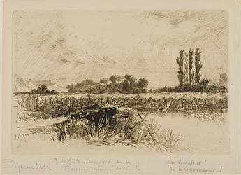 A Water Meadow