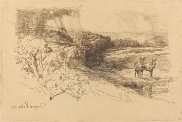 Encombe Woods (No.1)