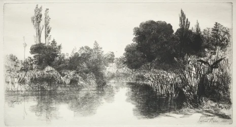 Shere Mill Pond