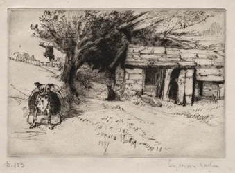 The Cabin