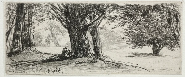 The Holly Field