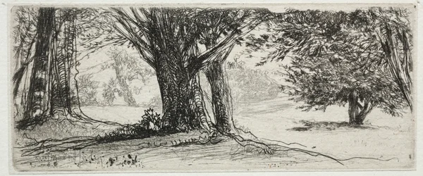 The Holly Field