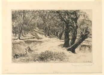 The Three Sisters