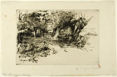 The Willows