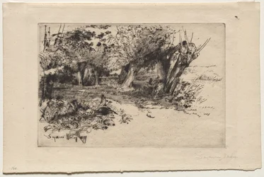 The Willows