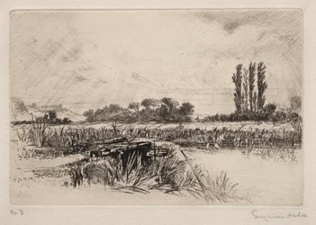 Water Meadow