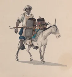 A watercarrier riding a donkey, from a group of drawings depicting Peruvian costume, ca. 1848