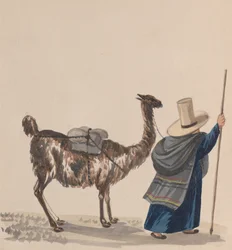 A Woman Walking with a Llama, from a Group of Drawings Depicting Peruvian Costume