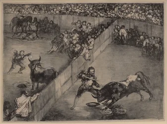 Bullfight in a Divided Ring