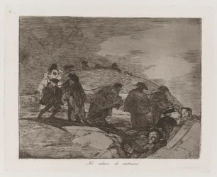 They Do Not Know the Way, Plate 70 from The Disasters of War