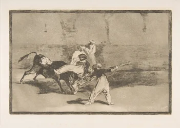 Plate 8 from the 