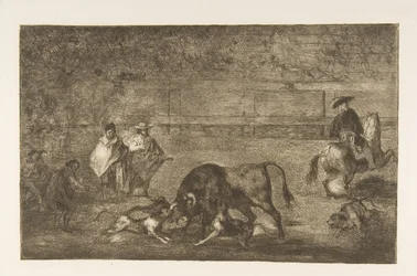 The Dogs Let Loose on the Bull