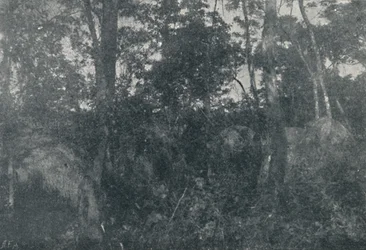 Cabanas de Indios, 1895