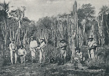 Campos