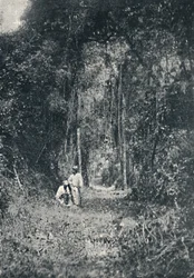 Estrada de Rodagem do Alto Parana