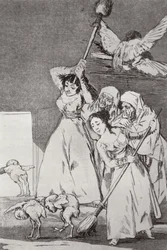 There They Go, Plucked, Plate 20 of 