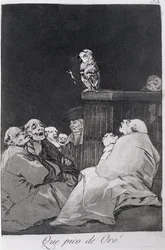 What a Golden Beak!, Plate 53 of 