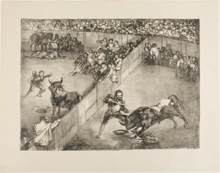 Bullfight in a Divided Ring, from The Bulls of Bordeaux