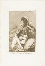Might not the Pupil Know More?, plate 37 from Los Caprichos