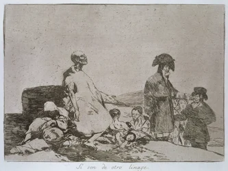 Perhaps they are of another breed, plate 61 of 