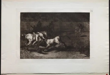 Bullfights: Mariano Ceballos, Alias the Indian, Kills the Bull From his Horse