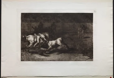 Bullfights: Mariano Ceballos, Alias the Indian, Kills the Bull From his Horse