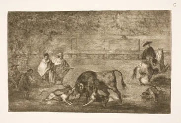Dogs Set on the Bull