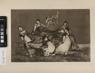 Female Folly (Heavier than a Donkey)