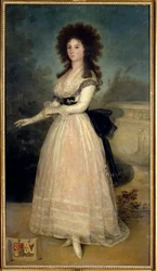 Full-Length Portrait of Dona Tadea Arias de Enriquez