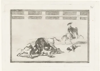 Bull Attacked by Dogs