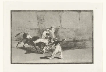 Bull Caught by Bullfighters