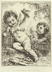 The Dove Caged