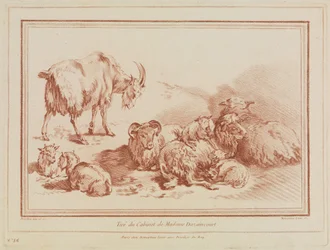 Flock of Sheep