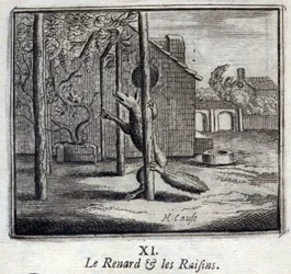 Illustration from the 