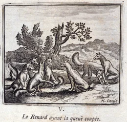 Illustration from the 