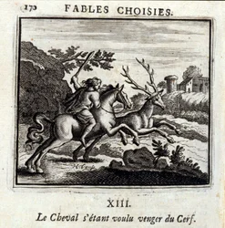 The Horse Wanted Revenge for the Deer