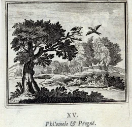 Philomela and Procne. Fables by Jean de La Fontaine. Illustration by François Chauveau. Edition of 1728